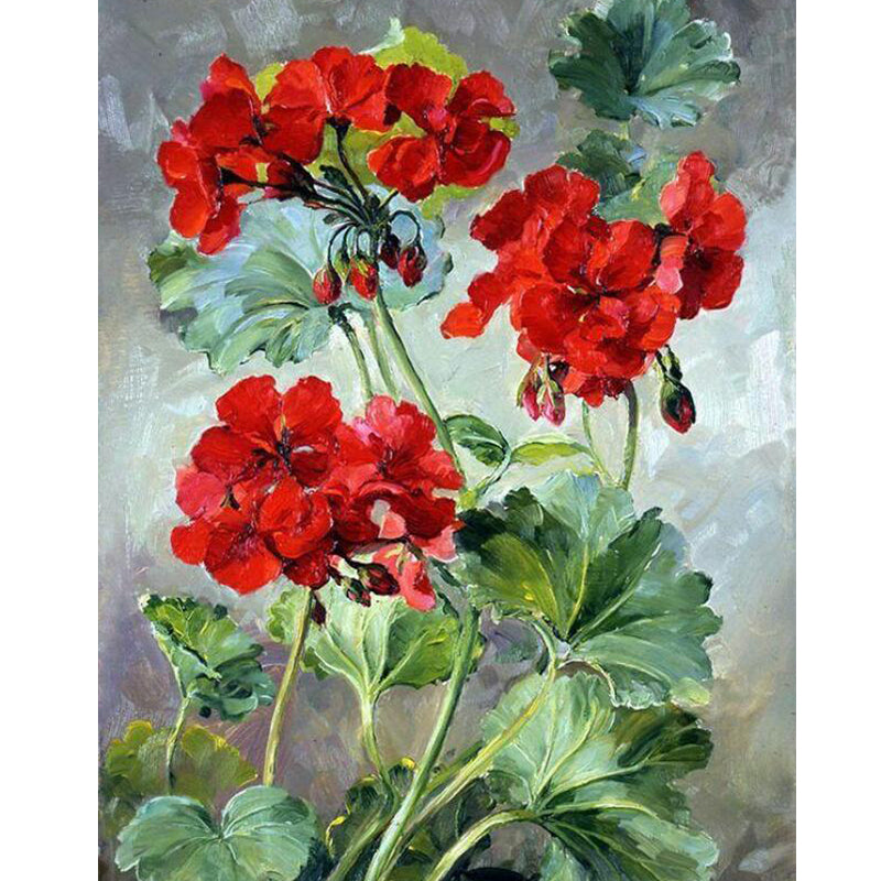 DIY Painting By Numbers -Rose Geranium  (16"x20" / 40x50cm)