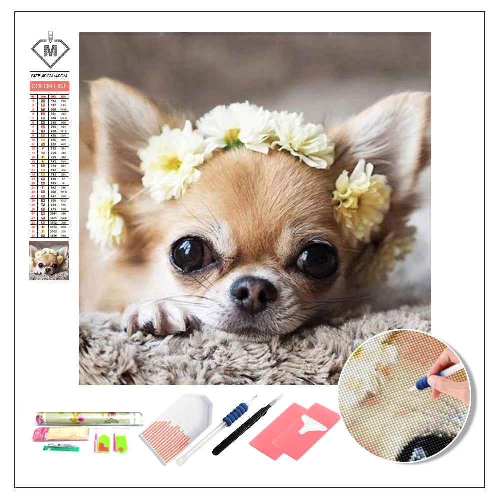 DIY Diamond Painting Kit  - Dog Chihuahua