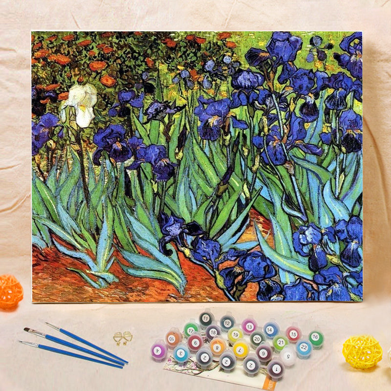 DIY Painting By Numbers - Irises (16"x20" / 40x50cm)