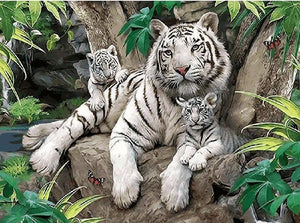 DIY Painting By Numbers - White Tigers (16"x20" / 40x50cm)