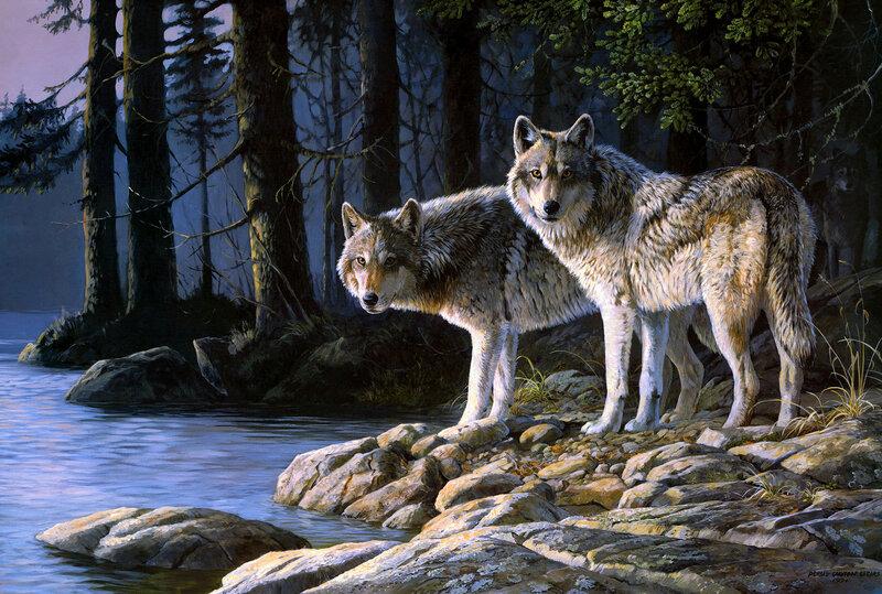 DIY Painting By Numbers -Wolf By The River(16"x20" / 40x50cm)